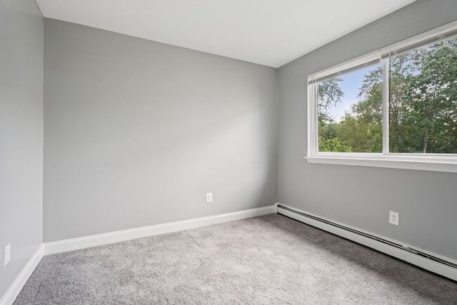 Interior Photo - Blackwood Falls