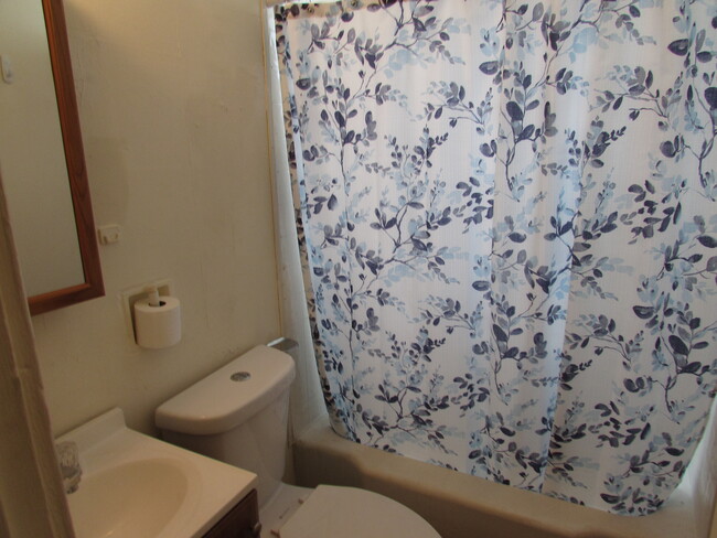 Bathroom - shower and bathtub - 718 E 4th Ave