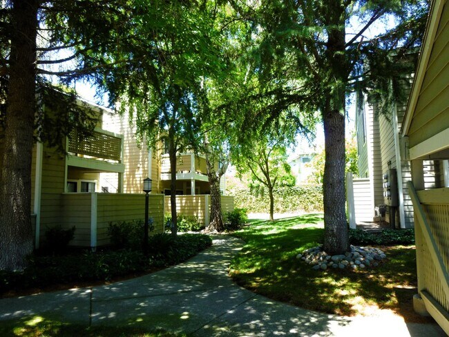 Foto del edificio - San Ramon Condo in Gated Community w/ Wash...