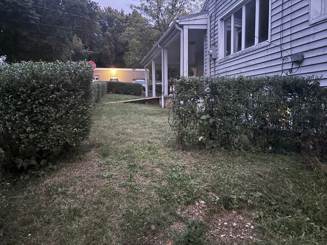 Side yard - 1 Mars St