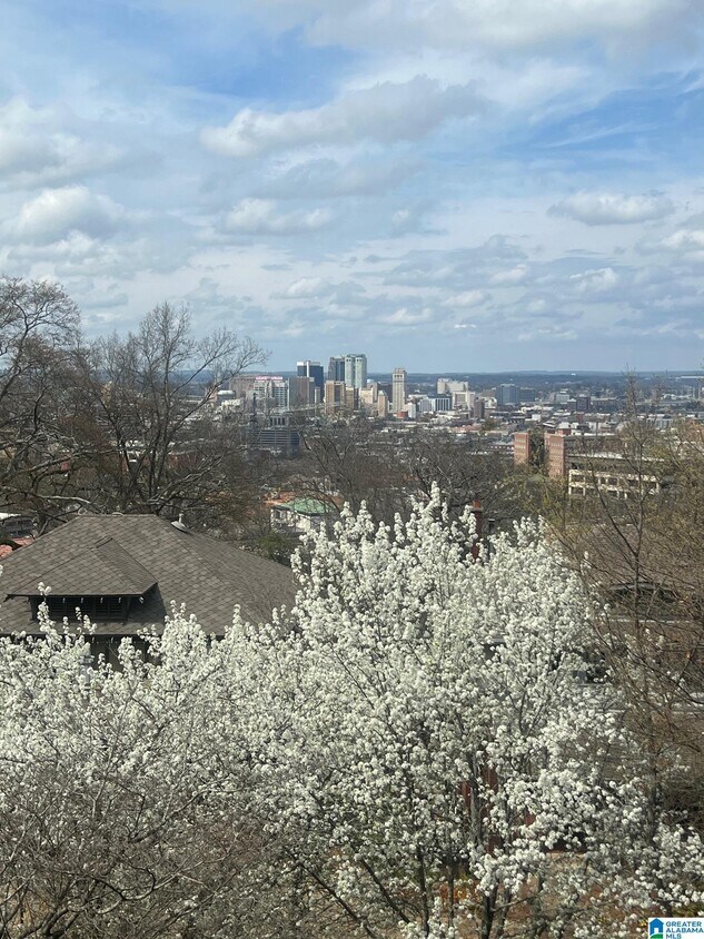 2455 Arlington Crescent Unit E, Birmingham, AL 35205 Condo for Rent in Birmingham, AL