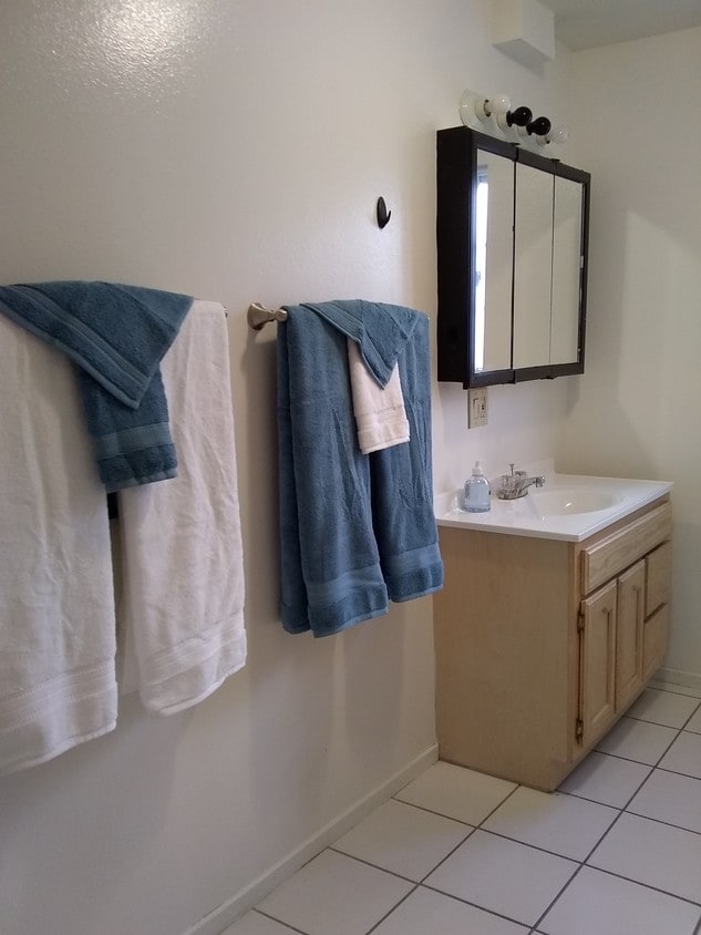 spacious primary bathroom - 2635 Dobinson St