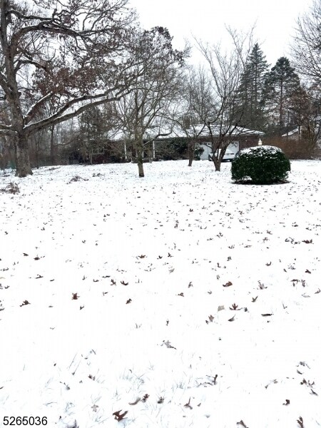 Foto del edificio - 19 Lavina Terrace