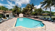 This outdoor amenity space delivers a vibrant, resort-inspired atmosphere defined by its centerpiece pool, which features a classic freeform shape and crystal-clear turquoise water. The pool deck is finished with attractive paver tiles that extend generously around the perimeter, providing ample space for relaxation and recreation. Numerous lounge chairs and chaise lounges are arranged along the deck, complemented by shaded seating areas covered by open-air market umbrellas, offering guests a choice between sun and shade. A small utility or storage structure with a decorative lattice facade adds a practical yet charming architectural accent to the pool area. The entire space is enveloped by towering coconut palms and lush tropical greenery, creating a sense of seclusion and privacy. Beyond the fenced perimeter, a serene body of water is visible, enhancing the natural ambiance with peaceful waterfront views. The combination of the tropical landscaping, open sky, and water views gives this space a distinctly Florida character. The pool area is enclosed by a white metal fence, ensuring safety while maintaining the open, airy feel of the outdoor environment. Overall, the space exudes a relaxed, vacation-like atmosphere ideal for leisure and recreation.