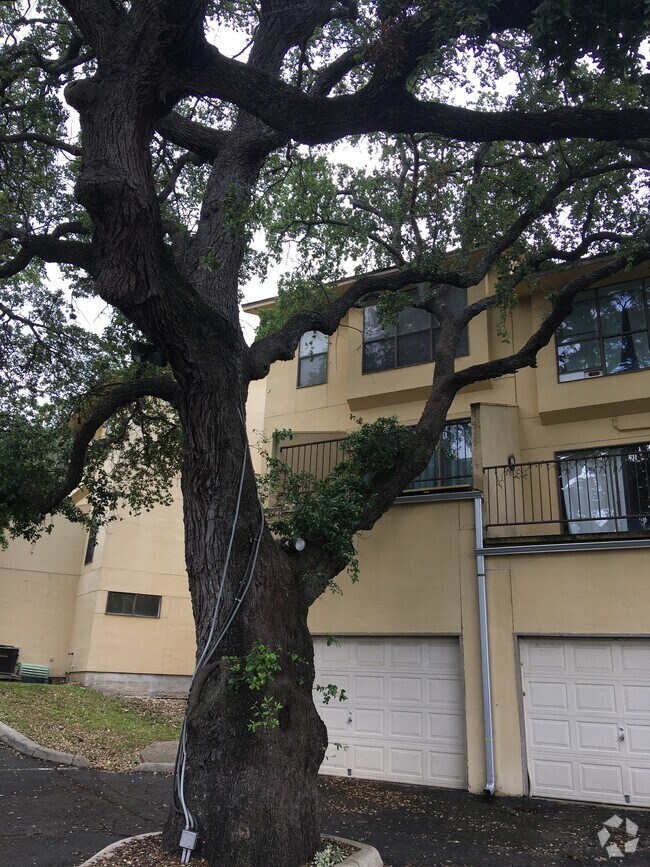 San Antonio TX 2 Bedroom Dog Friendly Apartments For Rent 355 Rentals