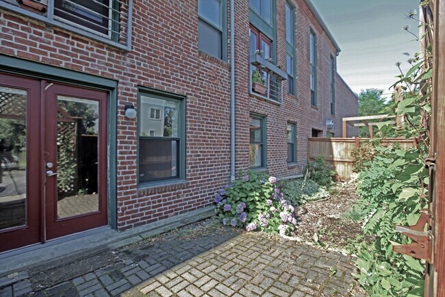 Garden view - 71 Fulkerson St