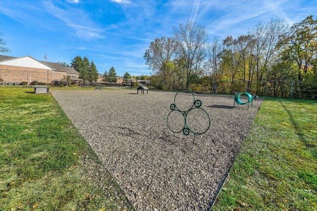Leash-free Bark Park - Lions Creek