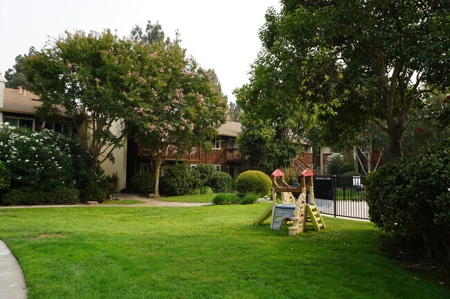 Beautiful garden - 3461 Pennsylvania Cmn