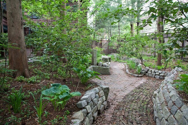 Building Photo - Modern 3-Bed, 2-Bath Duplex in Cambridge |...