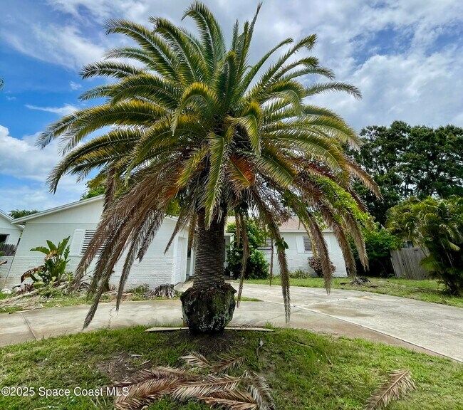 Foto del edificio - 420 Newfound Harbor Dr