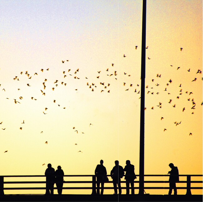 Foto del edificio - Augustine