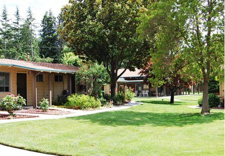 Foto del edificio - 251 Kottinger Dr