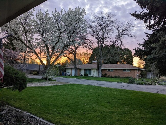 Building Photo - Charming Mid-Century Home in Prime Central...