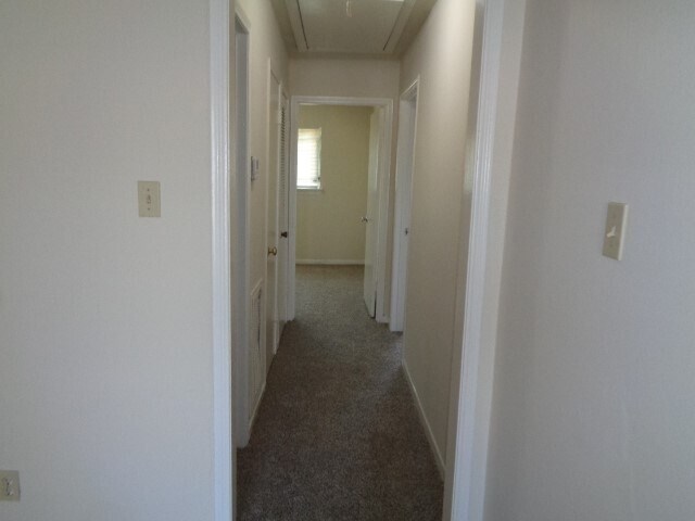 Foto del edificio - 5504 Deep Forest Dr