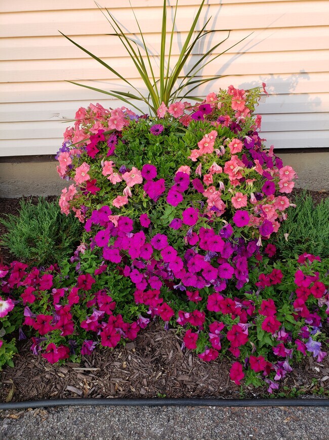 Frente - 10 East State Street