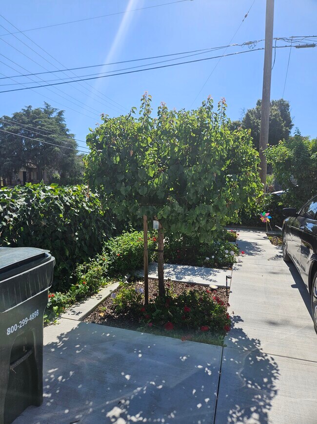 Building Photo - 707 Coronel St