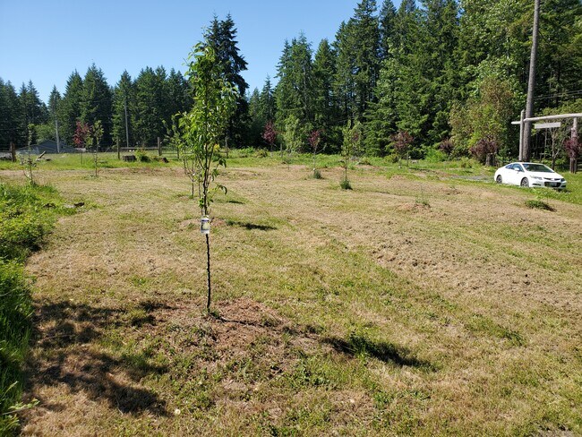 Another view of the front orchard.. - 11839 Glenwood Rd