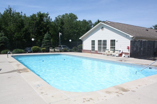 Piscina - The Masters