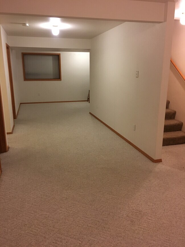 Basement - 1626 Lake Elmo Dr