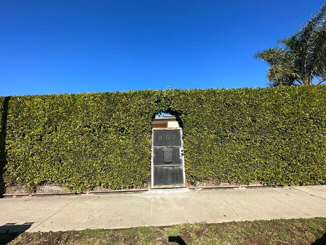 Building Photo - 857 Rose Ave
