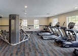 Located at 9873 Lawrence Rd in Boynton Beach, FL, this fitness center is a well-appointed, single-floor facility designed to support a wide range of workout routines. The space is outfitted with a comprehensive selection of equipment, including True-brand treadmills, elliptical trainers, and stair climbers, as well as a prominent Cybex multi-station strength machine. A dedicated free weights area features a rack stocked with dumbbells, medicine balls, and a heavy punching bag, catering to both strength and functional training needs. An adjustable weight bench adds further versatility to the strength training zone. The interior is finished with durable, patterned carpet in neutral tones accented with blue striping, complementing the room's blue accent band that runs along the walls. Recessed lighting and a textured ceiling contribute to the clean, functional aesthetic. Multiple large windows flood the space with natural light and offer views of the surrounding greenery, creating an energizing atmosphere. A set of bold blue double doors at one end of the room opens to the exterior, providing easy access. Restroom facilities are accessible directly from the fitness floor, adding convenience for users. Overall, the space presents a practical, well-maintained environment suited for comprehensive fitness routines.