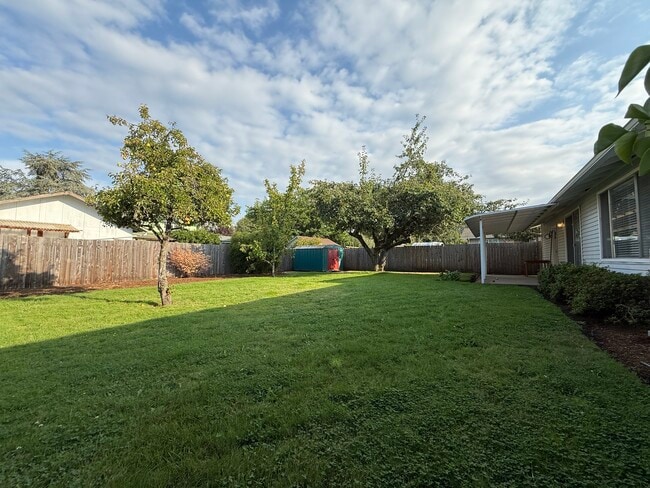 Mature fruit trees. Irrigation system. - 1981 Orr Ln