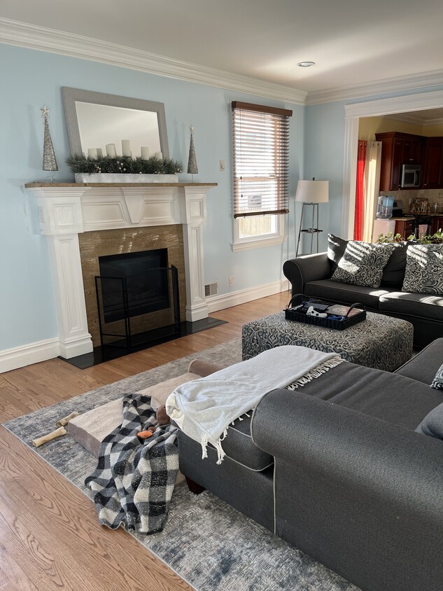Furnished living room with gas fireplace - 30 Hasbrouck Ave