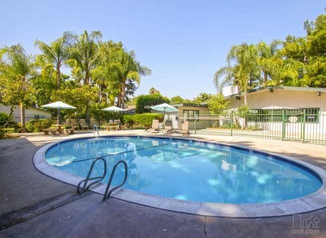 Pool Area - Pine Garden Apartments