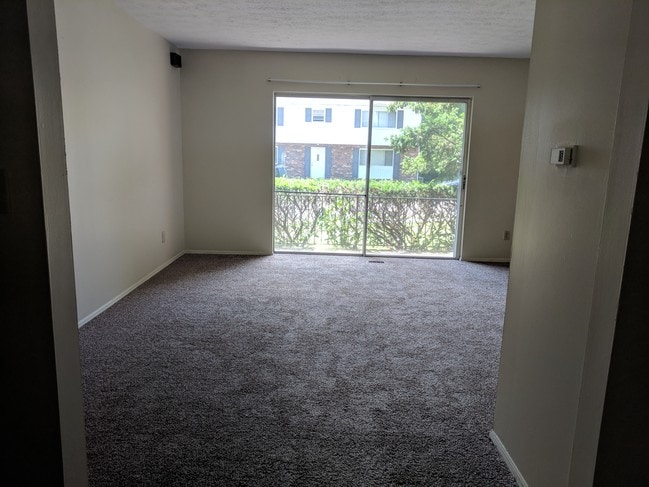 Living room - 16 Robson Ave