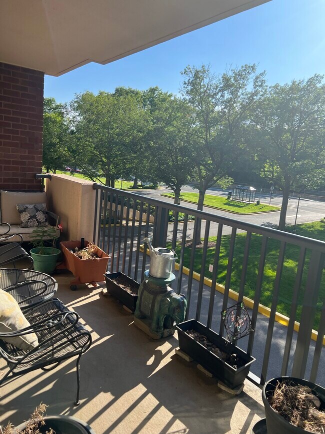 1300 Army Navy Dr Unit 205, Arlington, VA 22202 Condo for Rent in