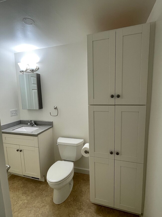 Newly remodeled bathroom with shower - N5385 Co Rd V