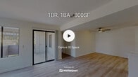 Located at 1500 Shadowridge Dr in Vista, CA, this 2-bedroom, 1-bathroom single-floor residence offers a clean, modern aesthetic throughout its efficiently designed layout. Light wood-tone flooring flows seamlessly across the main living areas, complementing the bright, neutral wall tones that give the space an open and airy feel.

The combined kitchen and living area serves as the heart of the home. The kitchen is well-appointed with white shaker-style cabinetry, marble-look quartz countertops, a matching backsplash, and a full suite of stainless steel appliances including a refrigerator, range, microwave, and dishwasher. The living room features a tiled fireplace and large windows that fill the space with natural light, while sliding glass doors provide direct access to a private outdoor patio area.

The two bedrooms offer comfortable proportions with the same light flooring and neutral walls. The primary bedroom includes a mirrored sliding closet, adding depth and brightness to the room. The second bedroom also features a sliding closet for ample storage.

The bathroom is finished with a modern vanity topped with quartz countertops, a large mirror, contemporary light fixtures, and a full tub-shower combination, all set against clean white walls and wood-look flooring. A ceiling fan in the living area and a connecting hallway complete this well-designed residence.