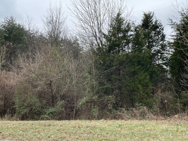 Foto del edificio - 9604 Preston Spring Dr