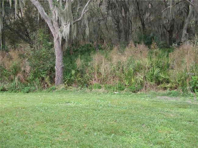 Building Photo - 15702 Fishhawk Falls Dr