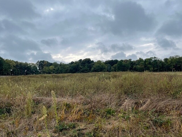 Building Photo - 990 Marissa Dr