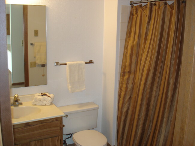 Bathroom - River Ridge Apartments