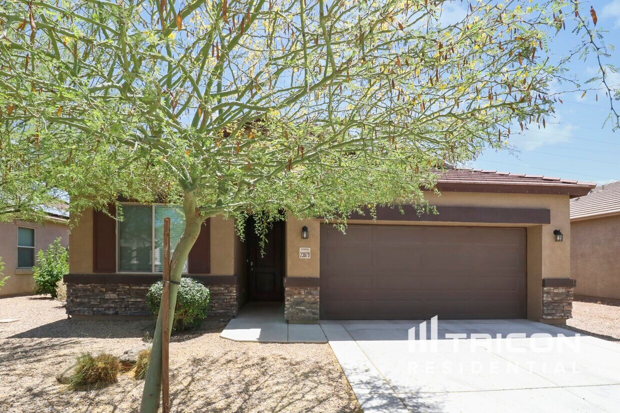 23879 W Magnolia Drive Buckeye AZ House Rental in Buckeye, AZ