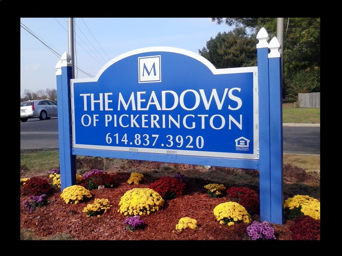 Foto principal - The Meadows