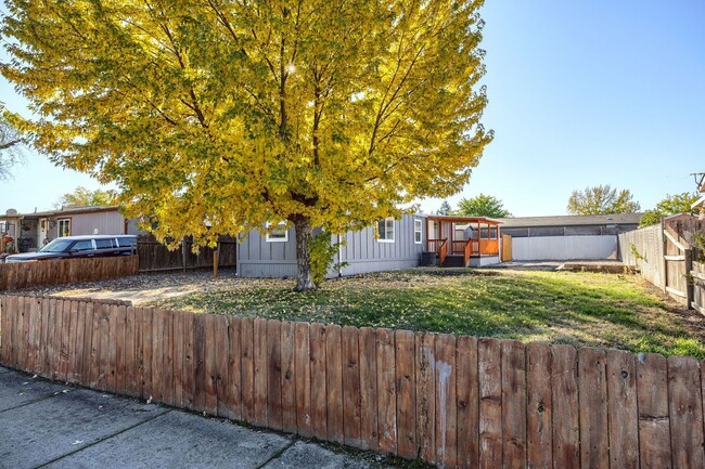 Foto del edificio - Cozy Home and Beautiful Spacious Yard