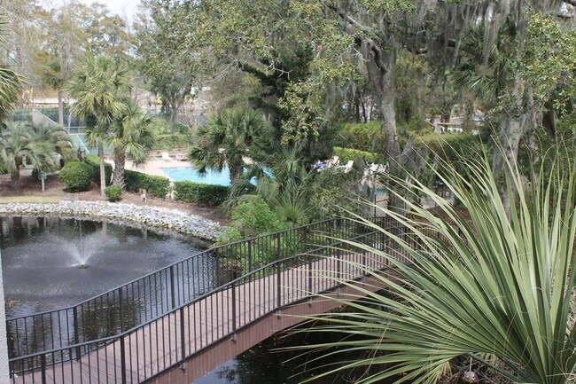 Foto del edificio - Forest Beach Villa - Walk to the Beach!
