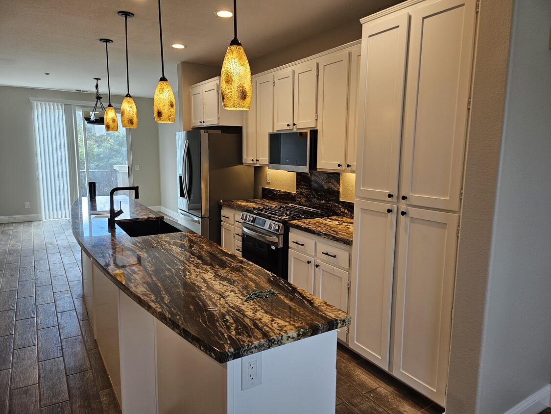 1249 San Elijo Rd S, San Marcos, CA 92078 Townhome Rentals in San Marcos CA