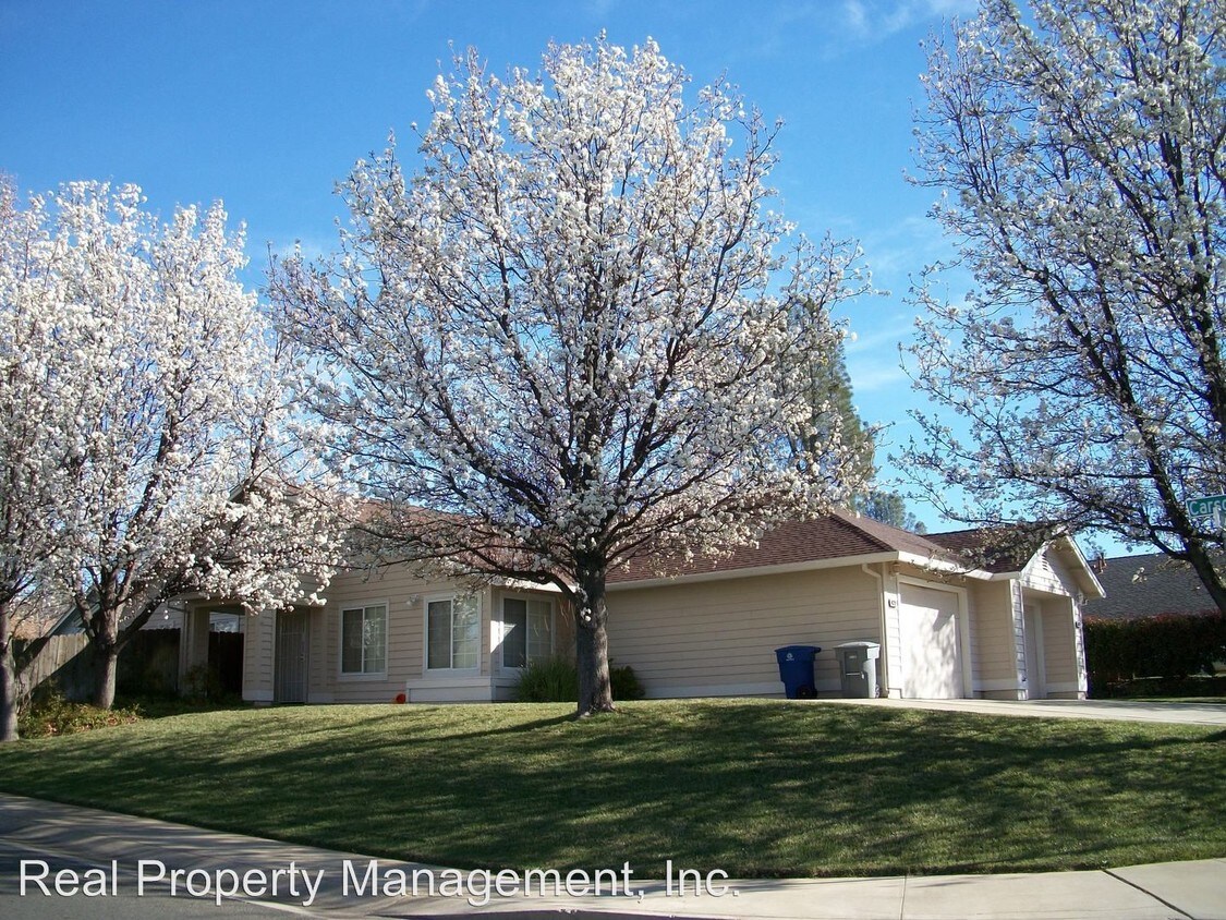 Primary Photo - 4310 Lynbrook Loop