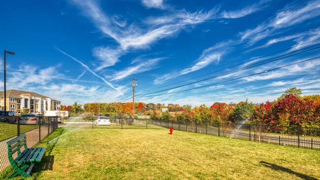 Building Photo - The View at Blue Ridge Commons