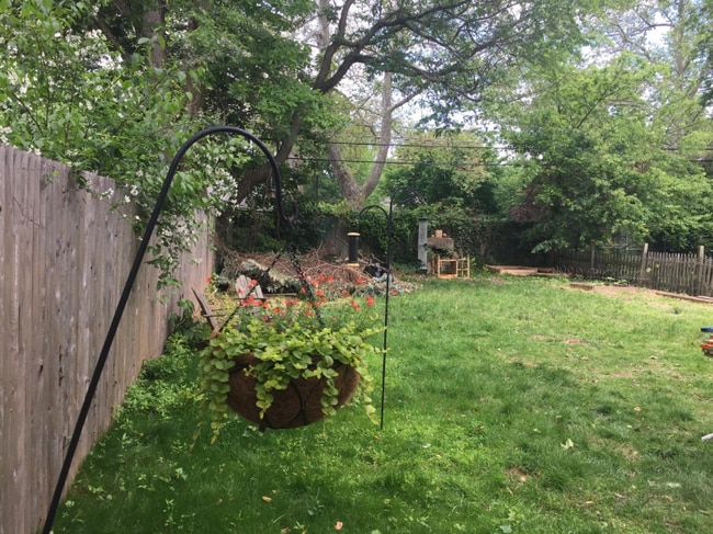 Building Photo - 133 E Mt Airy Ave