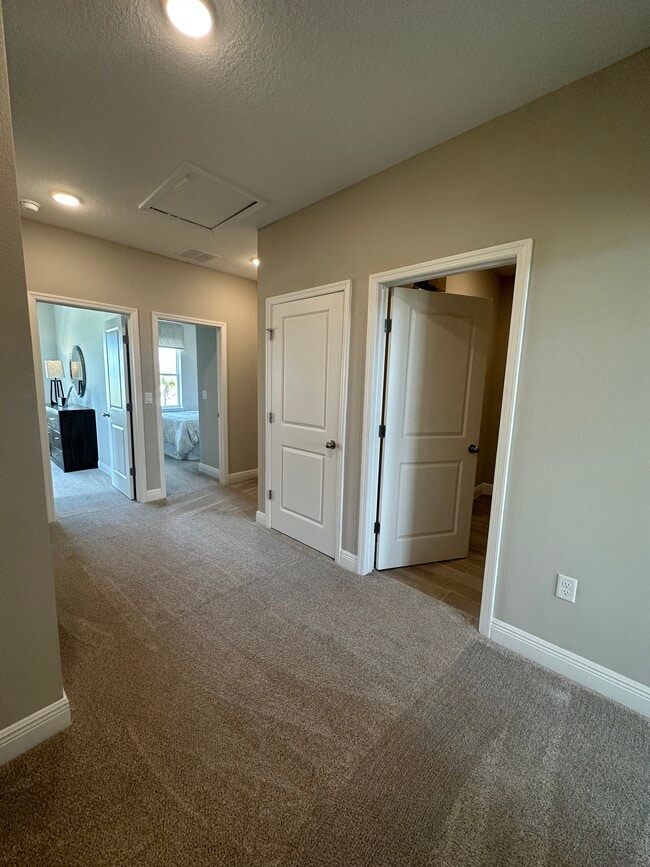 Hallway - 6493 Cyrils Dr