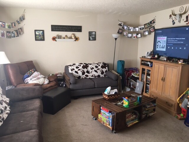 Living Room - 821 Timber Ln