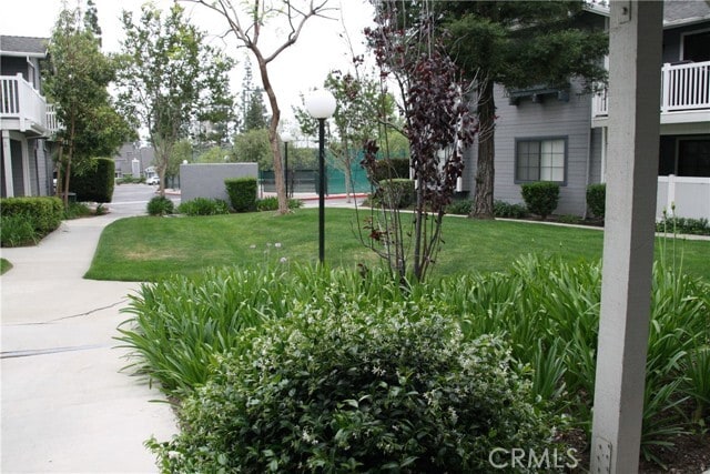 Building Photo - 280 Evergreen Ct