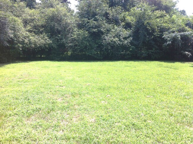 Foto del edificio - 3 Bedroom Brick Ranch in East Charlotte For Rent!