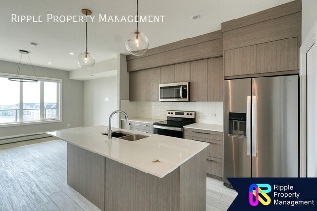 Building Photo - Modern 2 Beds, 1 Baths Apartment/Condo | N...