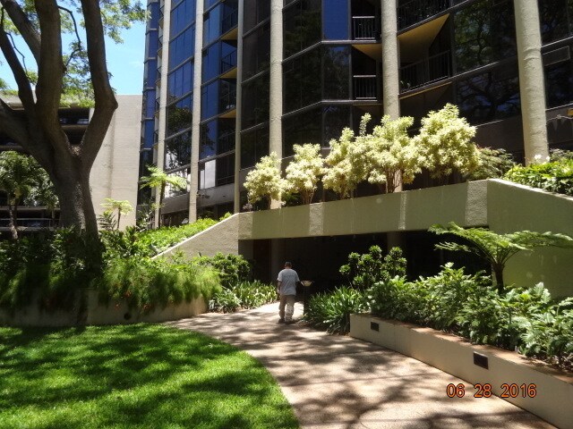 Foto principal - HONOLULU TOWER 1/1/1, MOUNTAIN VIEWS